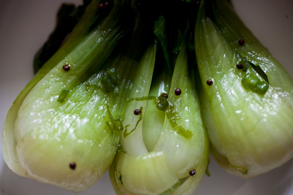 blogbabybokchoy