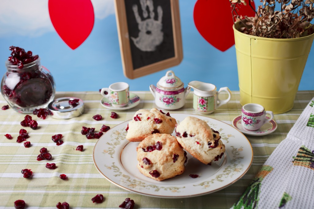 The Two Little Bakers Cranberry Scones recipe